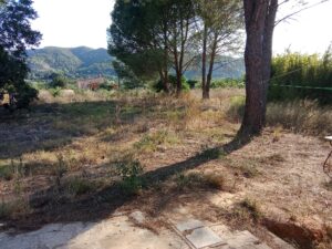 Terreno